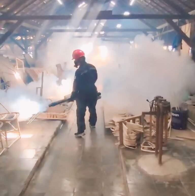 Fogging To Ensure Workplace Safety in Balagi