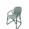 Parviz side view